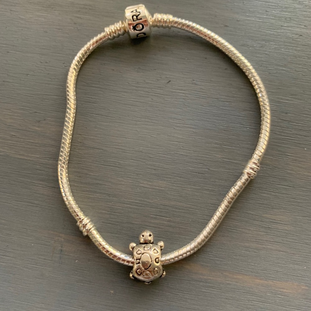 🎅🏻HOLIDAY SALE🎄Turtle charm